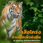 การล่า-ไม่ใช่ความโหดร้าย-แต่เพื่อความอยู่รอด-จะเลือกล่าเฉพาะ