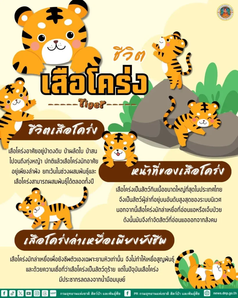ชีวิตของเสือโคร่ง-,-หน้าที่ของเสือโคร่ง-,-เสือโคร่งล่าเหยื่อ
