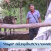 “กัมพูชา”-ยังไม่หยุดโจมตีเป้าหมายพลเรือน--#t