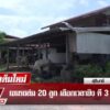 live-รายการ-ลุยชนข่าว-วันที่-28-กรกฎาคม-2568-เวลา-19.00-น