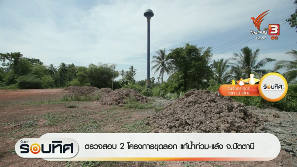 ชมความน่ารักของครอบครัวสมเสร็จ-ที่สวนสัตว์สงขลา-ข่าวที่คุณว