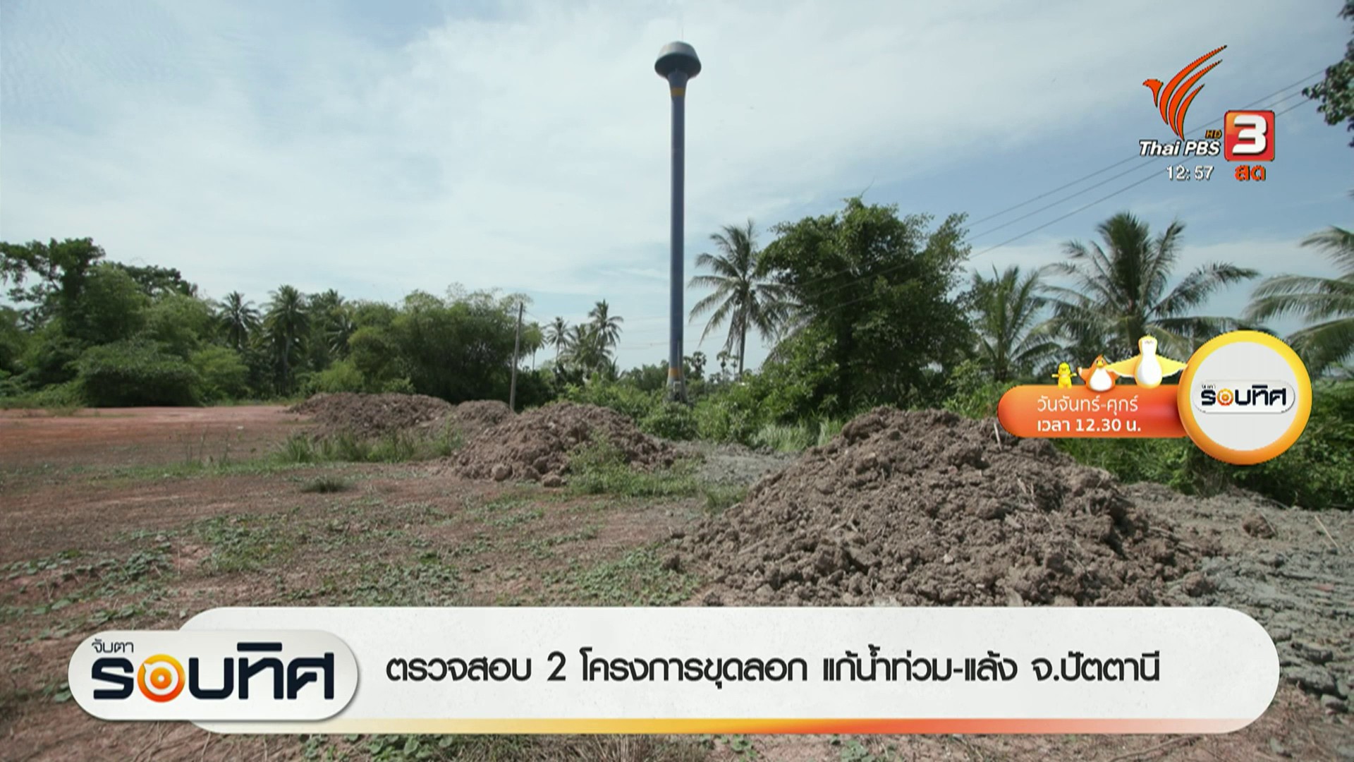 ชมความน่ารักของครอบครัวสมเสร็จ-ที่สวนสัตว์สงขลา-ข่าวที่คุณว