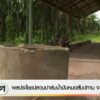 ผลประโยชน์สวนปาล์มน้ำมันหมดสัมปทาน-จ.ชุมพร-