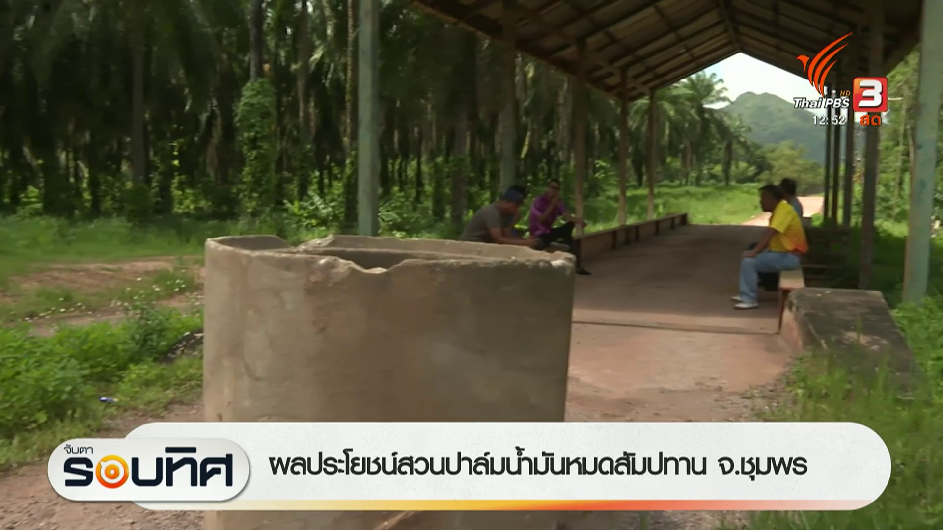 ผลประโยชน์สวนปาล์มน้ำมันหมดสัมปทาน-จ.ชุมพร-