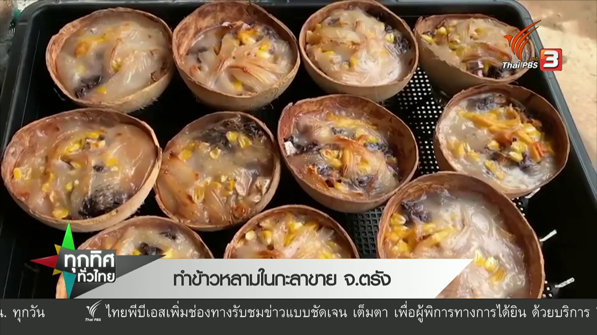 ทำข้าวหลามในกะลาขาย-จ.ตรัง--news-#th