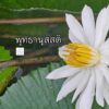 พุทธานุสสติ-พระพุทธองค์ตรัสว่า-อริยสาวกในธรรมวินัยนี้ระลึกถ-|-2025-08-02-13:10:00