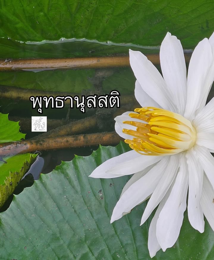 พุทธานุสสติ-พระพุทธองค์ตรัสว่า-อริยสาวกในธรรมวินัยนี้ระลึกถ-|-2025-08-02-13:10:00