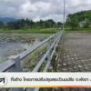 ทิ้งร้าง-โครงการปรับปรุงสระบัวนบปริง-จังหวัดพังงา-40-ล้านบาทข่าว