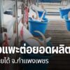 อดีตพนักงานขายรถ-ในจังหวัดกำแพงเพชร-หันมาทำสบู่น้ำนมแพะ-ส่งข