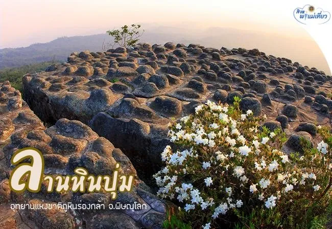 -สิงหาพาแม่เที่ยว-“ลานหินปุ่ม”-จุดชมวิวที่ตั้งอยู่ใน-เขตอ