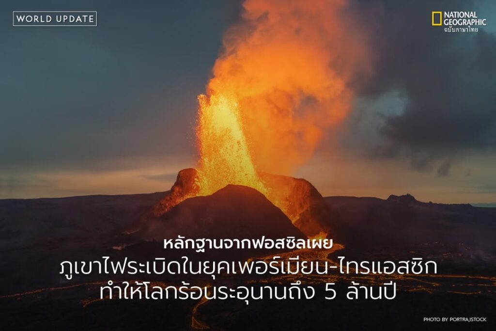 เมื่อกว่า-252-ล้านปีก่อน-โลกต้องเผชิญเหตุการณ์สูญพันธุ์ครั้ง