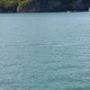 พบโลมาหลังโหนก-ในเขตอุทยานแห่งชาติหมู่เกาะอ่างทอง-ตอกย้ำคว