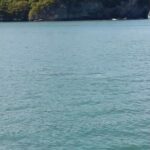 พบโลมาหลังโหนก-ในเขตอุทยานแห่งชาติหมู่เกาะอ่างทอง-ตอกย้ำคว