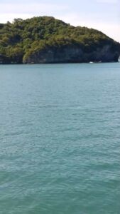 พบโลมาหลังโหนก-ในเขตอุทยานแห่งชาติหมู่เกาะอ่างทอง-ตอกย้ำคว