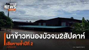(6/8/68)-…น้ำท่วม-บหนองบัว-ตสันทรายงาม-อเทิง-จ.เชียงราย