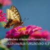การขยายตัวของเมืองกำลังส่งผลกระทบอย่างรุนแรงต่อแมลงผสมเกสร-ไ