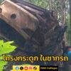 พบโครงกระดูก-ในซากรถเก๋งที่พุ่งตกเขาคอม้า-คาดเกิดเหตุไม่น่าต-|-2025-08-07-19:46:00