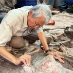 อุทยานแห่งชาติภูเวียง-ลุ้นการค้นพบ-ไดโนเสาร์ยักษ์พันธุ์ใหม