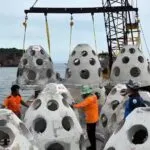 สำนักงานทรัพยากรทางทะเลและชายฝั่งที่-3-(เพชรบุรี)-จัดวางปะก