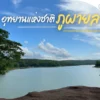 สิงหาพาแม่เที่ยว-อุทยานแห่งชาติภูผายล-สูดอากาศบริสุทธิ์ที
