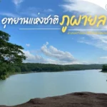 สิงหาพาแม่เที่ยว-อุทยานแห่งชาติภูผายล-สูดอากาศบริสุทธิ์ที