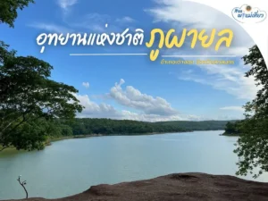 สิงหาพาแม่เที่ยว-อุทยานแห่งชาติภูผายล-สูดอากาศบริสุทธิ์ที