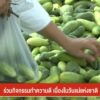 ร่วมกิจกรรมทำความดี-เนื่องในวันแม่แห่งชาติ-(feed--w