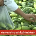 ร่วมกิจกรรมทำความดี-เนื่องในวันแม่แห่งชาติ-(feed--w