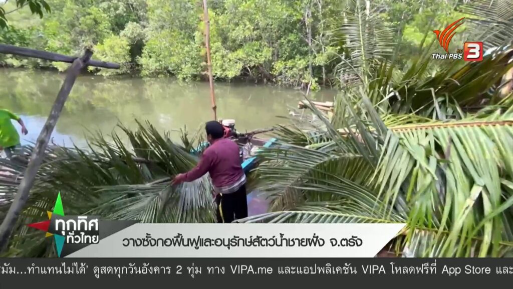 วางซั้งกอฟื้นฟูและอนุรักษ์สัตว์น้ำชายฝั่ง-จ.ตรัง-ข่าวที่คุณ