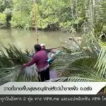 วางซั้งกอฟื้นฟูและอนุรักษ์สัตว์น้ำชายฝั่ง-จ.ตรัง-ข่าวที่คุณ