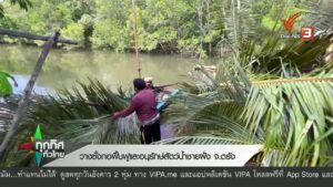 วางซั้งกอฟื้นฟูและอนุรักษ์สัตว์น้ำชายฝั่ง-จ.ตรัง-ข่าวที่คุณ