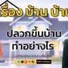 ปลวกขึ้นบ้านทำอย่างไร-:-เรื่อง-บ้าน-บ้าน-:-16-สิงหาคม-2568-เ-|-2025-08-16-03:30:00