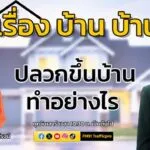 ปลวกขึ้นบ้านทำอย่างไร-:-เรื่อง-บ้าน-บ้าน-:-16-สิงหาคม-2568-เ-|-2025-08-16-03:30:00
