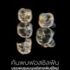 การค้นพบฟอสซิลฟัน-13-ซี่ในเอธิโอเปีย-อาจเปลี่ยนแปลงความเข้าใ