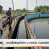 บ่อบัดน้ำเสียถูกทิ้งร้าง-อปากพนัง-จ.นครศรีธรรมราช-ข่าวที่ค