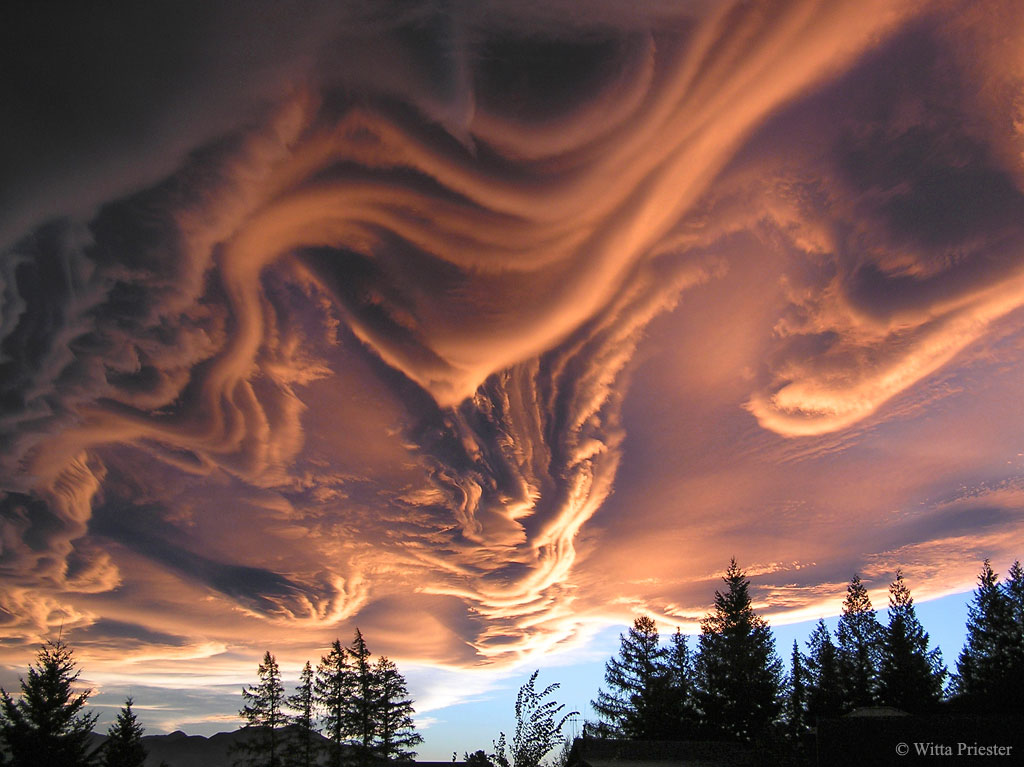 asperitas-clouds-เหนือ-zealand-ร่วมสมัย
