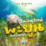 ️-17-สิงหาคม-“วันอนุรักษ์พะยูนแห่งชาติ”-ครบรอบ-6-ปี-การจากไ