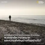 แน่นอนว่า-หากพูดถึงเรื่องของ-ความฝัน-หลายคนก็คงตั้งคำถามมา