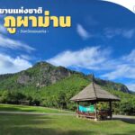 สิงหาพาแม่เที่ยว-อุทยานแห่งชาติภูผาม่าน-ชมผาหินสูงและผืนป่า