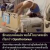 -เหตุผลที่-ทาง-โรงพยาบาลต้องฉีดวัคซีนบาดทะยัก-หากถูกตะปูตำ-ถูกของ