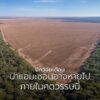ป่าแอมะซอนซึ่งเป็นป่าฝนเขตร้อนใหญ่ที่สุดในโลก-กำลังเผชิญความ
