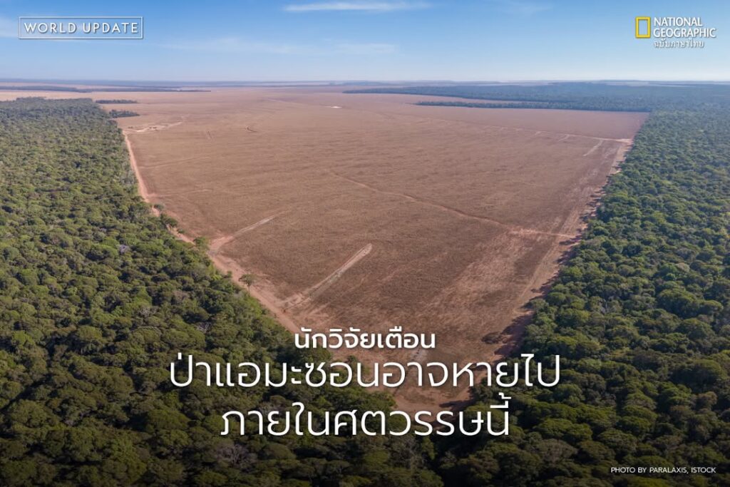 ป่าแอมะซอนซึ่งเป็นป่าฝนเขตร้อนใหญ่ที่สุดในโลก-กำลังเผชิญความ