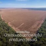 ป่าแอมะซอนซึ่งเป็นป่าฝนเขตร้อนใหญ่ที่สุดในโลก-กำลังเผชิญความ