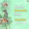 20-สิงหาคม-“วันยุงโลก”-(world-mosquito-day)-เพื่อระลึกถึง-เซ