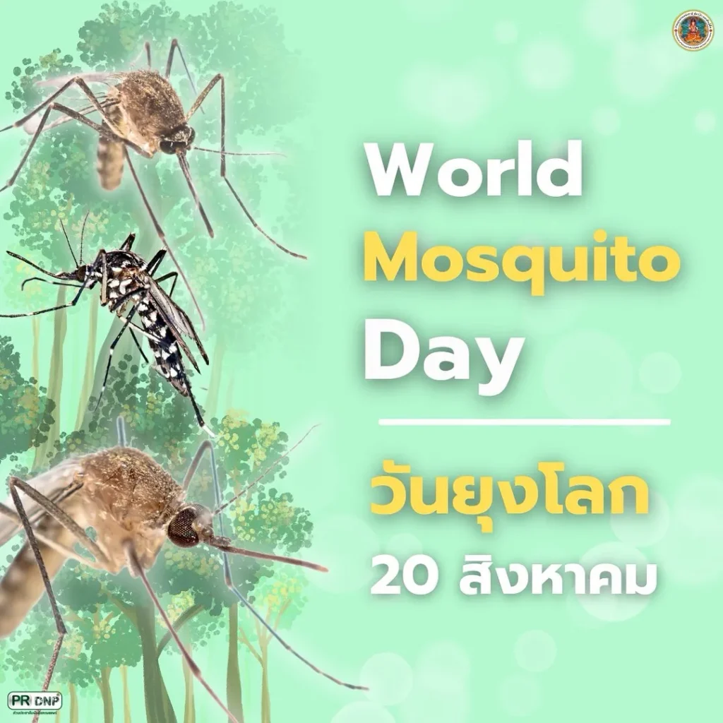 20-สิงหาคม-“วันยุงโลก”-(world-mosquito-day)-เพื่อระลึกถึง-เซ