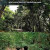ชวนเที่ยว”ลานกางเต็นท์”-ที่อุทยานแห่งชาติแม่วงก์-จ.กำแพงเพชร