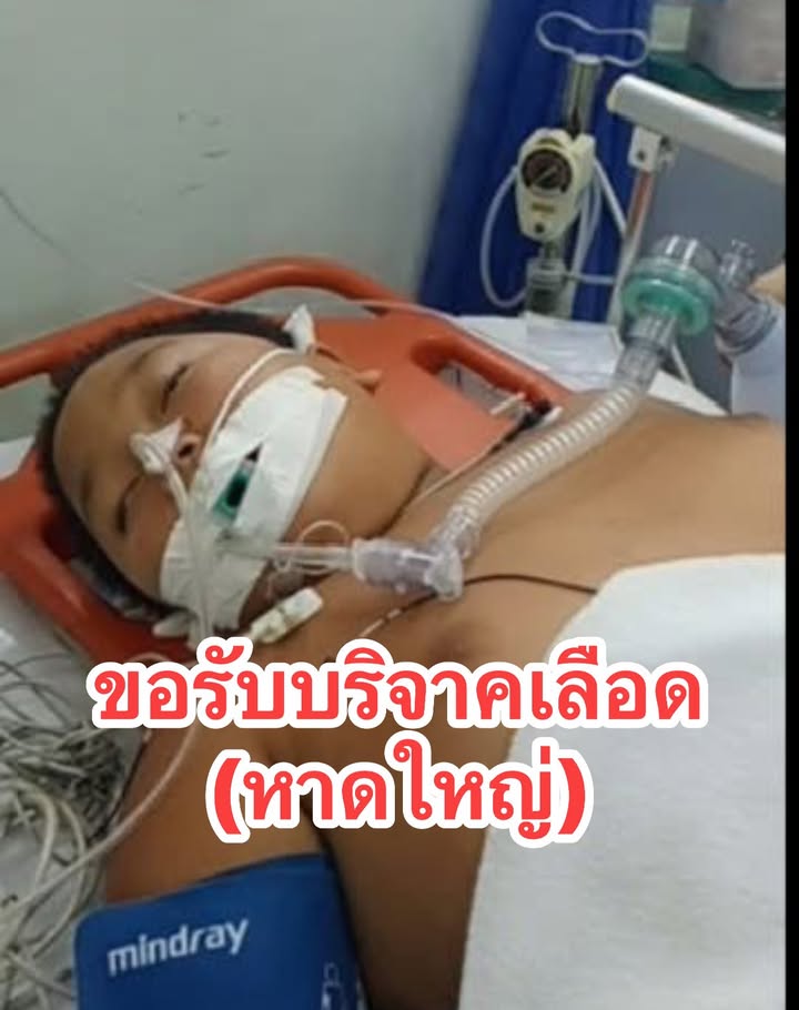 รับบริจาคเลืoด-ขออนุญาตแอดมิขอรับบริจาคเลืoด-(ได้ทุกกรุ๊ป)-|-2025-08-23-13:12:00
