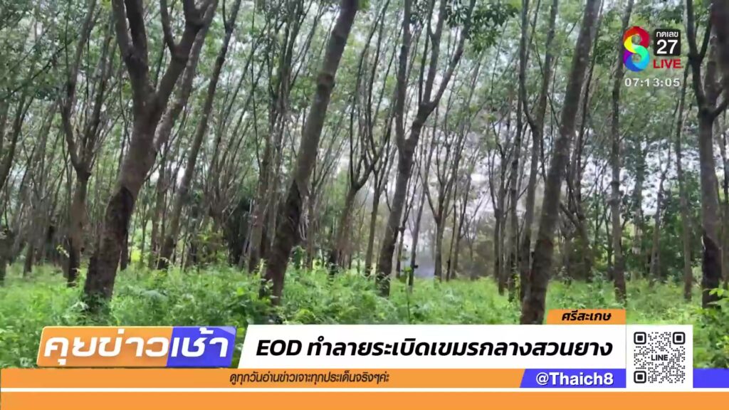 หน่วย-eod-ทำลายsะเบิดเขมรกลางสวนยาง-|-26-ส.ค