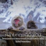 งานวิจัยใหม่จากมหาวิทยาลัยรีดดิ้งกำลังพลิกความเข้าใจเรื่องต้