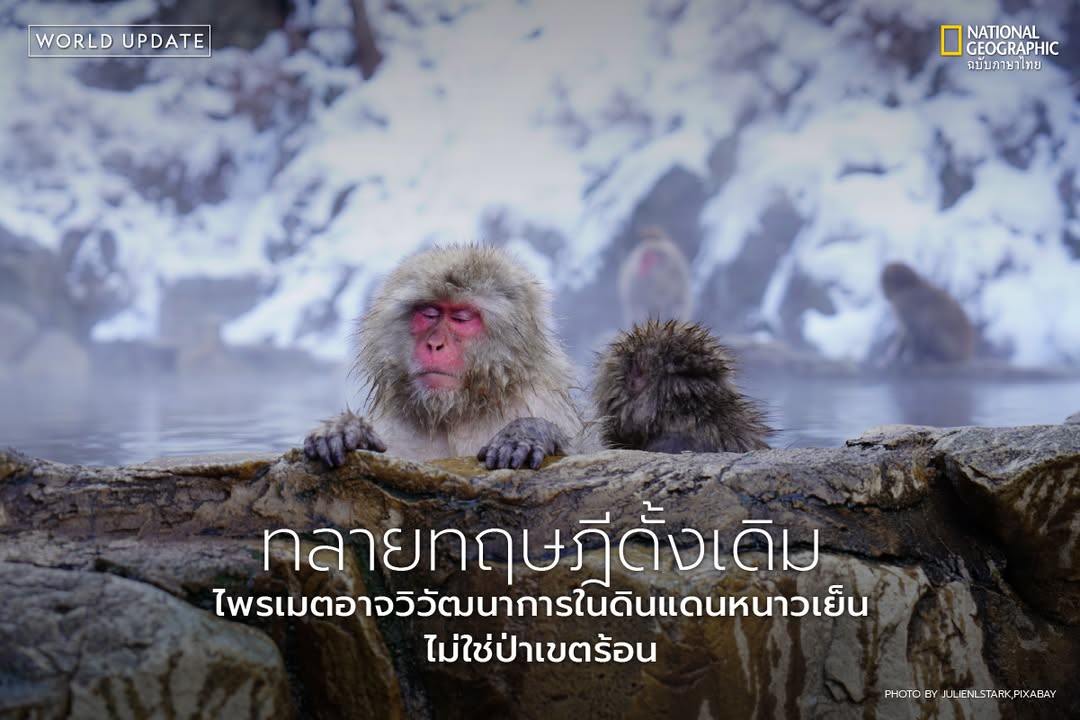 งานวิจัยใหม่จากมหาวิทยาลัยรีดดิ้งกำลังพลิกความเข้าใจเรื่องต้